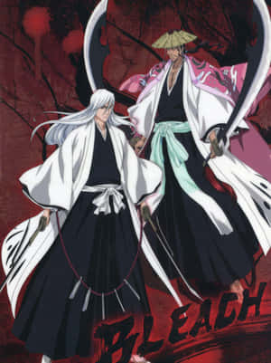 Shunsui Kyoraku, un căpitan puternic al Gotei 13. — Galaxy Z TriFold Fundal