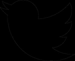 Căutare Transparent Supportive Guru - Transparent Twitter Logo Png Alb