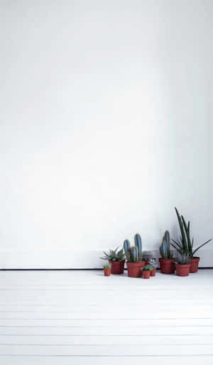 Imagini estetice minimaliste — Estetică minimalistă Fundal