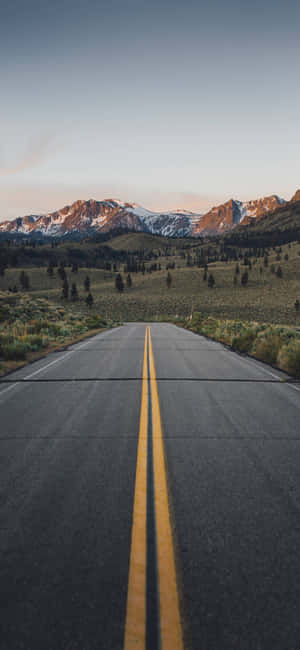 Fundal California iPhone X — Vivo S Fundal