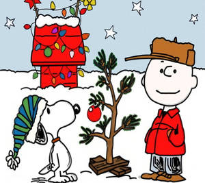 Snoopy și Stelele de Crăciun Wallpaper — Snoopy de crăciun Fundal