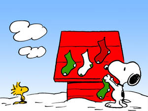 Fundal Șosete de Crăciun Snoopy