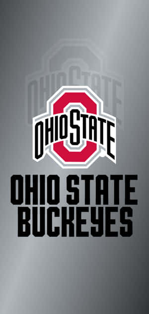 Ohio State iPhone — Xiaomi 17 Pro Max Fundal