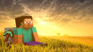 Peisaj Minecraft băiat privind apusul