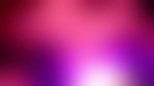 Wallpaper roz și mov strălucitor neclar.