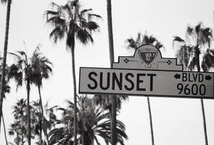 Tapet Sunset Boulevard Alb-Negru — Sunset Boulevard Fundal