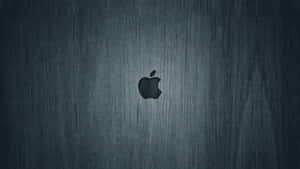 Mac Cool — Surface Fundal