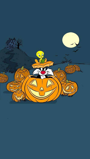 Sylvester pe dovleac wallpaper de Halloween desen animat