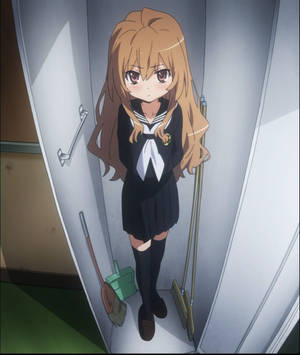 Wallpaper Toradora Taiga Aisaka în dulap. — Motorola Razr Ultra 2026 Fundal