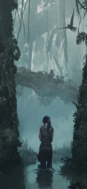 Fond iPhone Xs Max Rise Of The Tomb Raider — iPhone 12 Pro Max Fundal