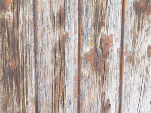 lemn,textură,natură,panel,pardoseală,stejar,design,model,fundal,maro,vechi,material,tapet,arhitectură,interior,pardoselă,scândură,vintage,suprafață,natural — Surface Fundal