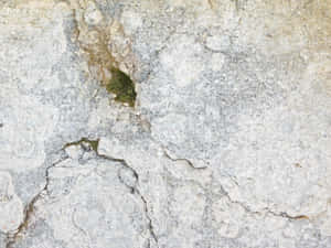 design, texturat, interior, antic, exterior, detaliu, fundal, material, piatră, abstract, textură, suprafață, natural, decor, podea, mineral, gri, porțelan, ceramică, perete — Surface Fundal
