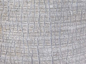 detaliu, lemnos, fundal, material, erodat, tronc, abstract, copac, textura, vechi, suprafață, natural, cherestea, lemn, model, aspru, îmbătrânire, plantă, prim-plan, mediu — Surface Fundal