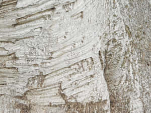 detaliu, lemnos, fundal, material, erodat, trunchi, abstract, copac, textură, vechi, suprafață, natural, cherestea, lemn, model, aspru, îmbătrânire, plantă, prim‑plan, mediu — Abstract Fundal
