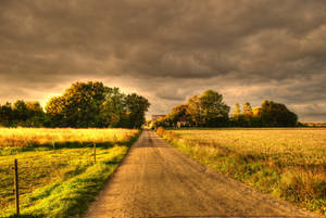 Green field landscape with trees and clear road during autumn season. — Toamnă Fundal