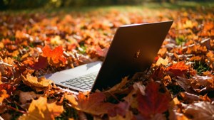 Un Chromebook așezat printre frunzele colorate de toamnă, cu lumină caldă a soarelui.