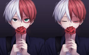 Todoroki drăguț ținând un trandafir roșu wallpaper — Todoroki drăguț Fundal