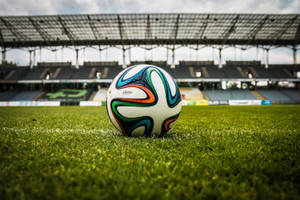 Stadion de fotbal minge iarbă verde wallpaper desktop.
