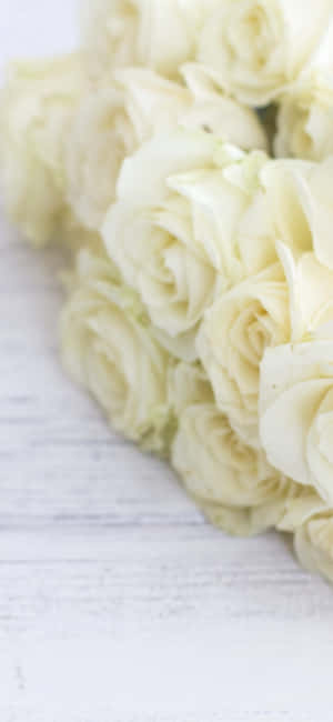 White Roses Iphone — iPhone 14 Pro Fundal