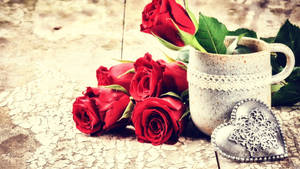 Valentines Day red roses wallpaper — High Contrast Fundal