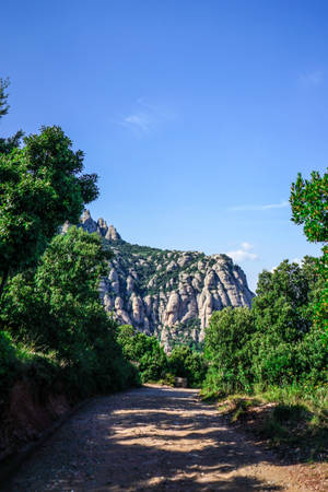 Traseu Forestier Montserrat — Xiaomi Pad 9 Pro Fundal