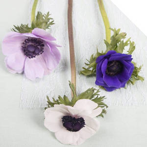 Fond de ecran trei flori de anemone — 1:1 Fundal