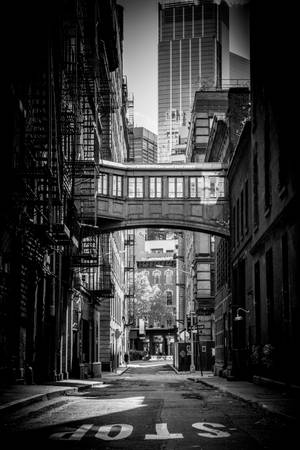 Tribeca New York Alb Negru — Xiaomi Pad 8 Fundal