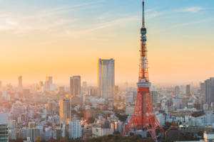 Turnul Tokyo în timpul zilei — Tokyo GIF Fundal