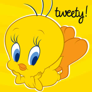 Tweety Bird — iPad (A16) Fundal