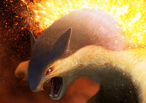 Typhlosion prim plan HD — Anime desktop Fundal