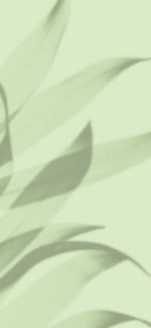 Fundal verde deschis — Galaxy F07 Fundal