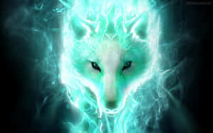 Super Cool Wolf — Lup cool Fundal