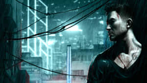 Fond Sleeping Dogs — Câini adormiți Fundal
