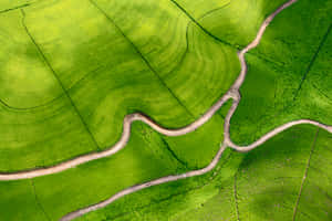 Fundal natură verde — MacBook Air 15 Fundal