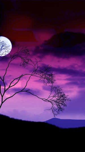 imagini cu luna plina — Lună Noapte Cer Fundal