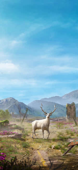 Iphone Xs Max Far Cry 5 Fundal — Fairphone 6 Fundal