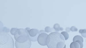 Fundal 2560X1440 — 2560x1440 Fundal
