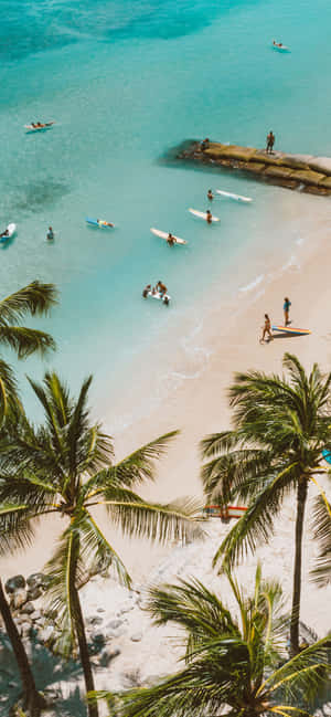 1284x2778 — Honor 600 Lite Fundal