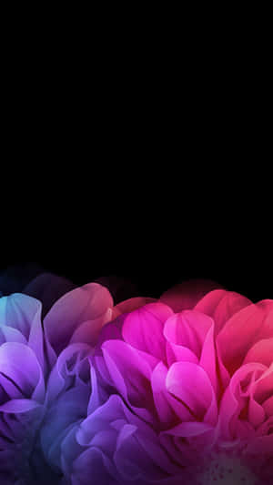 un fundal negru cu flori colorate — Floare iPhone Fundal