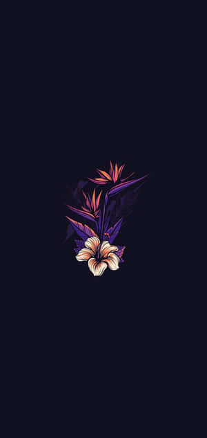 un fundal negru cu o floare violet pe el — Xiaomi 15T Fundal