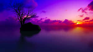 Imagini estetice violet închis — Mov deschis estetic Fundal