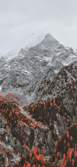 1170x2532 — Huawei nova 15 Ultra Fundal