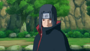 Fundal Naruto Shippuden — Naruto shippuden Fundal