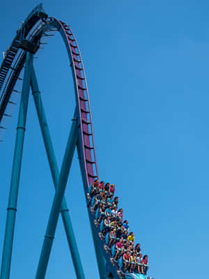 Imagini Seaworld — iPad a 9-a generație Fundal