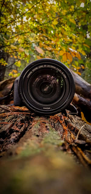 Imagini cu camera — Huawei Mate 70 Air Fundal