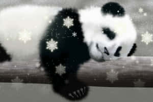 Fundal Panda — Panda Fundal