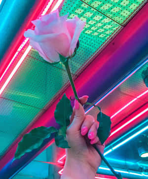 Imagini cu estetică neon — Neon Fundal