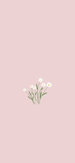 Primăvară minimalistă — Galaxy A57 Fundal