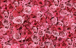 Fundal floral roz