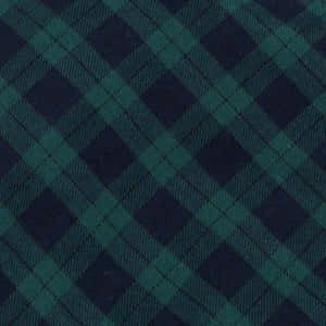 Fundal flanel — Estetică verde deschis Fundal